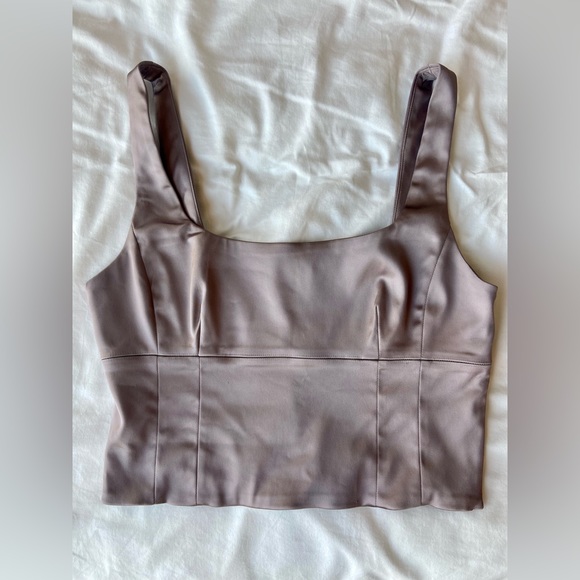 Aritzia Wilfred Shine Bustier - Dove Mauve - Picture 6 of 9